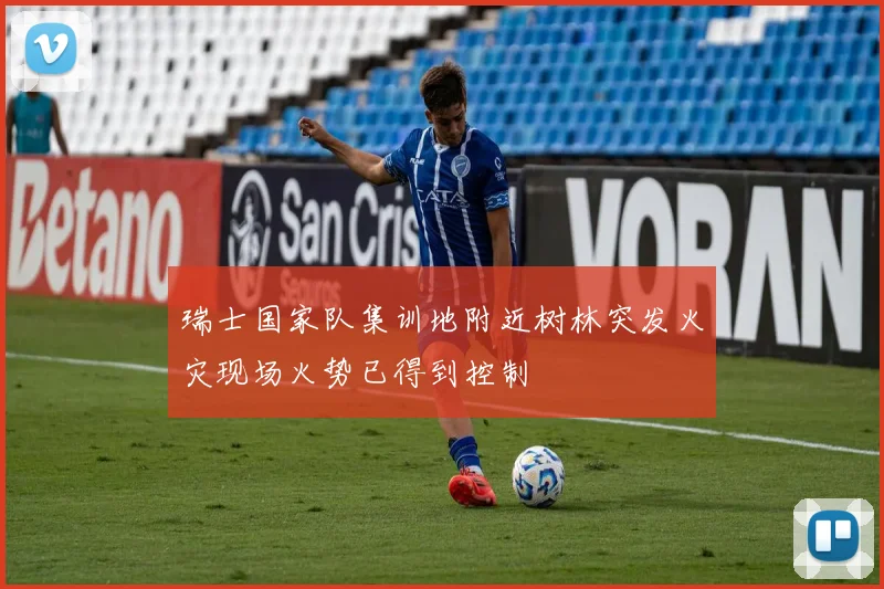 瑞士国家队集训地附近树林突发火灾现场火势已得到控制