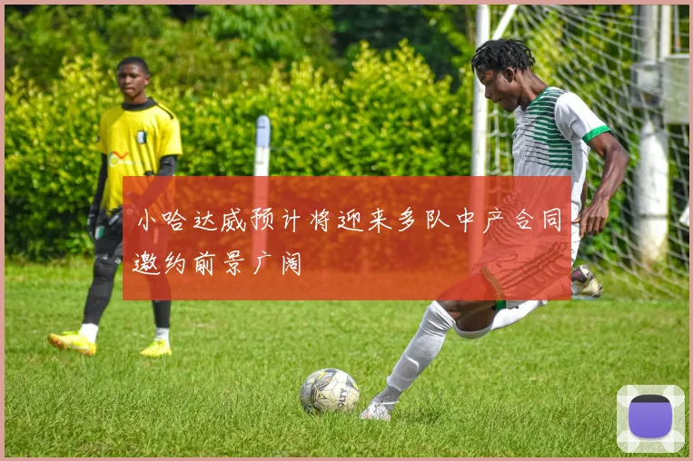 小哈达威预计将迎来多队中产合同邀约前景广阔