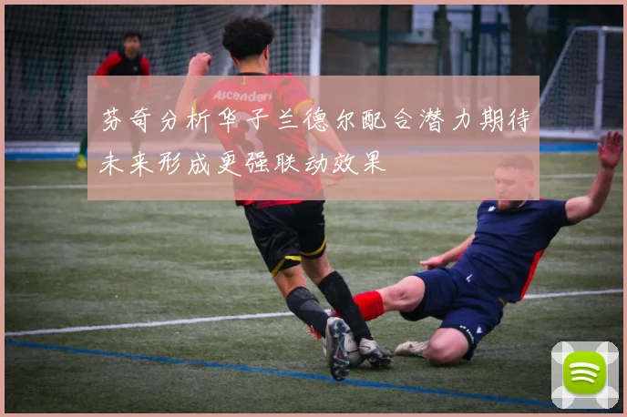 芬奇分析华子兰德尔配合潜力期待未来形成更强联动效果