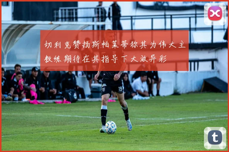 切利克赞扬斯帕莱蒂称其为伟大主教练期待在其指导下大放异彩